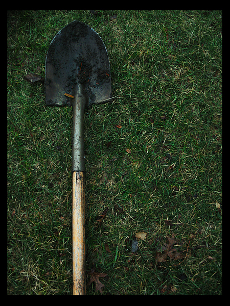 2404000843_50f252e11d_o