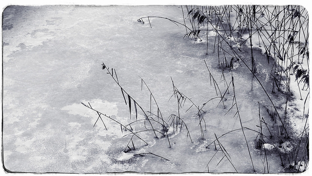 24603321340_1feac25631_z