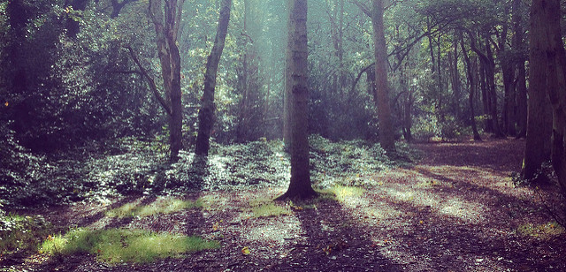 8094763851_cb8b6280bd_z