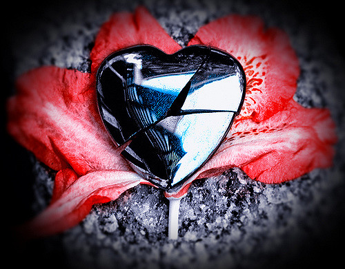 2501246913_c1fb940ac5_z