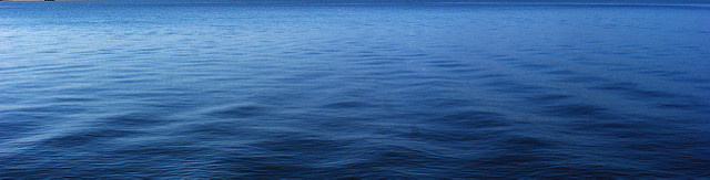 7049238949_fc8a166569_z