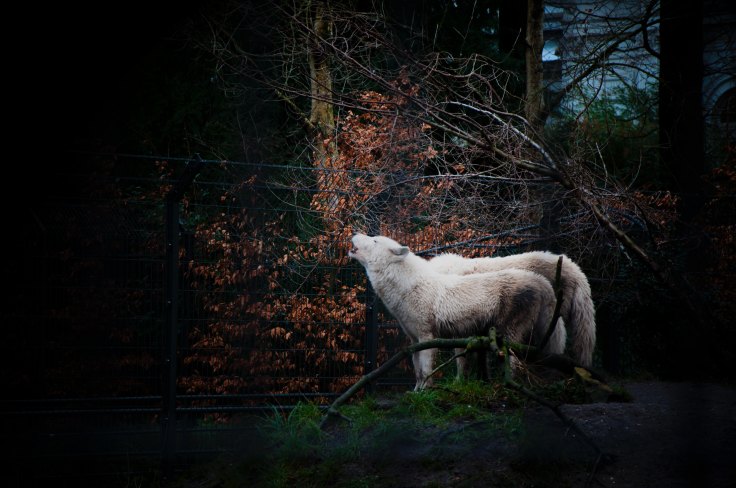 matan-elihay-458228-unsplash